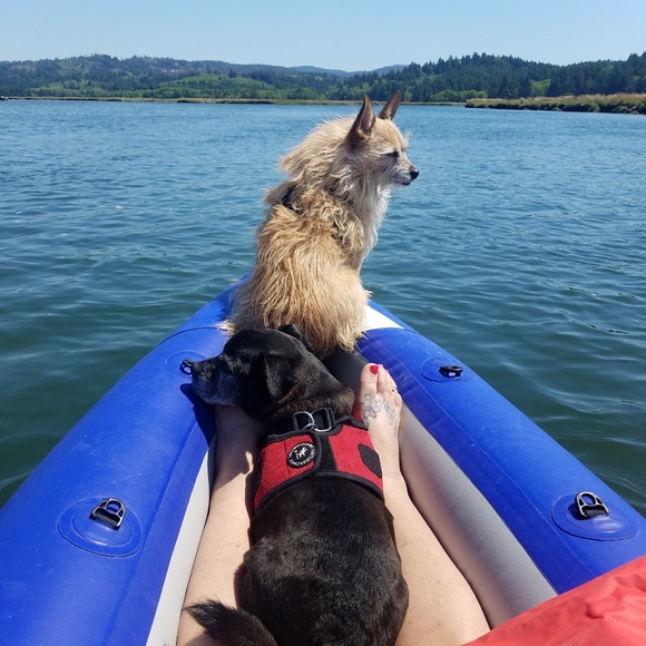 Meet your Posher, Tami - Picture 8 of 8